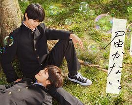 天津品质网站优化口碑好